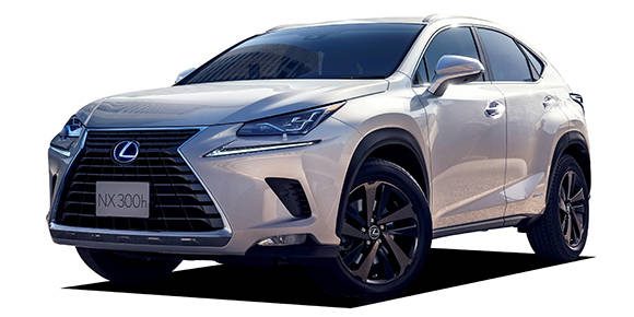 Lexus NX 1-го поколения (AZ10), версия NX300